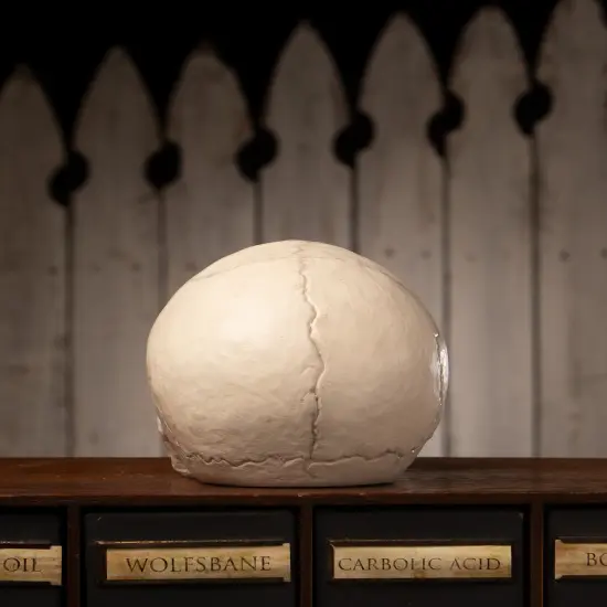 BETHANY LOWE SKULL VOTIVE {4}