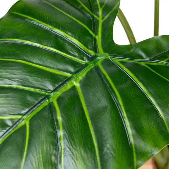 Northlight Potted Green Wide Leaf Taro Artificial Floor Plant - 51" {7}