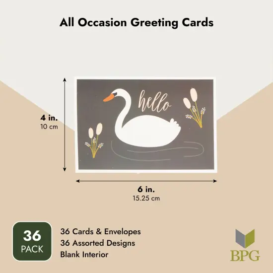 Assorted All Occasion Greeting Cards with Envelopes, 36 Designs (4x6 In, 36 Pack) Multicolor {3}