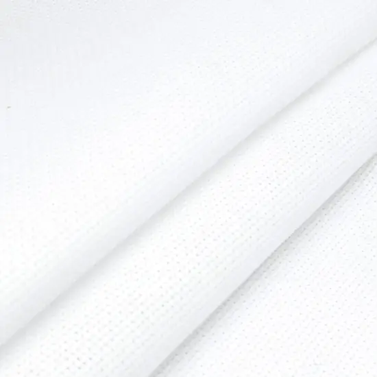 Precut Zweigart Aida White {2}