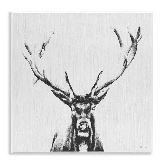 Stupell Industries Stag Sketch in Grey Wall Plaque Art Design by Katrina Craven {1}