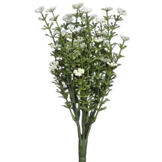 Astilbe Bush With Leafy Stems White {1}