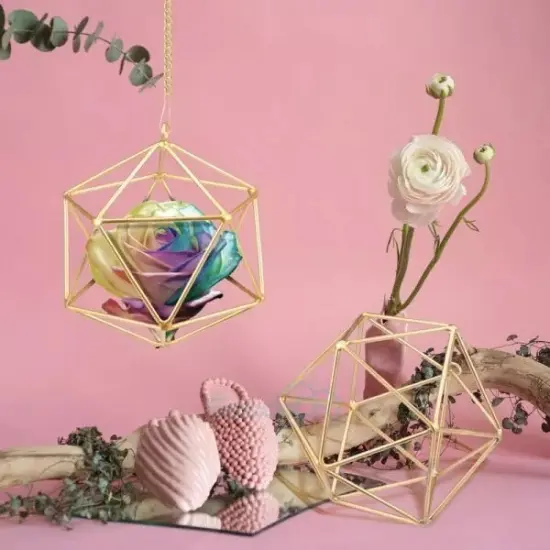 2Pack Metal Geometric Hanging Air Plant Holder Rack Air Pineapple Iron Hanging {5}