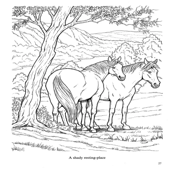 Wonderful World Of Horses Coloring Book-Softcover {6}
