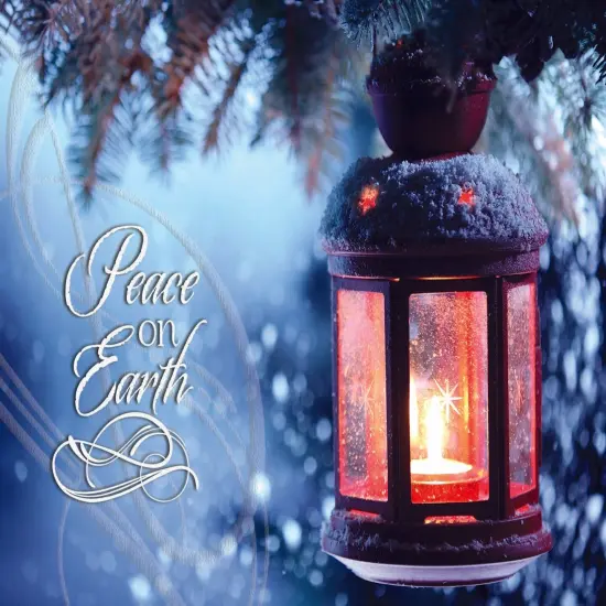 Boxed Christmas Cards - Light the Way {5}