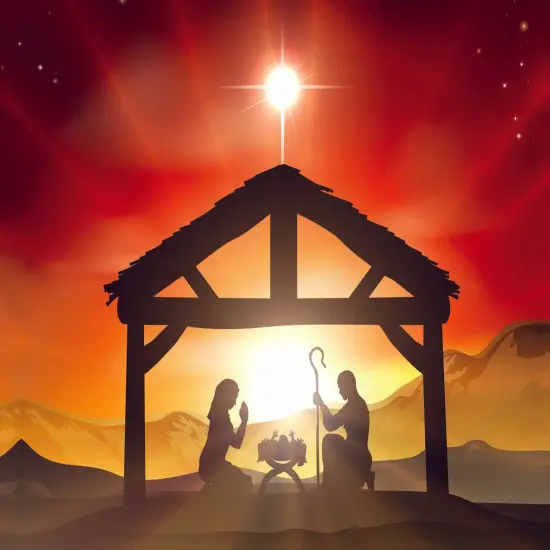 Boxed Christmas Cards - Peace on Earth {3}