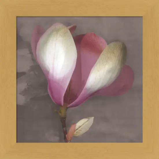 Magnolia by Erin Clark 13" x 13" Framed Wall Art {1}