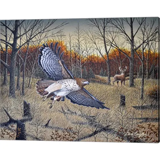 Red-Tailed Hawk by Don Engler 20" x 16" Canvas Wall Art {1}