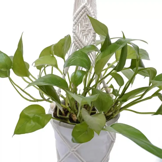 White Plant Hangers Hanging Planters Pot with Cotton Rope Eco-Friendly {4}