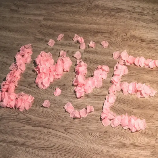 1500PCS Pink Rose Petals Silk Rose Petals for Romantic Night for Her Set Valentine's Day,Wedding,Party,Proposal Anniversary Decorations {2}