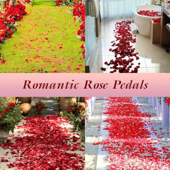 2000 Pcs Gold Silk Rose Petals,Artificial Flower Petals for Wedding,Romantic Night,Romantic Valentines Decor for Bedroom,Weddings {3}