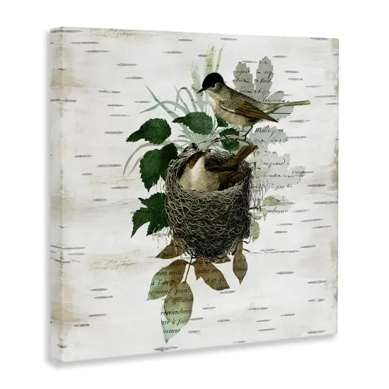 Stupell Industries Birds in Vintage Nest Canvas Design by Susan Arnot {3}