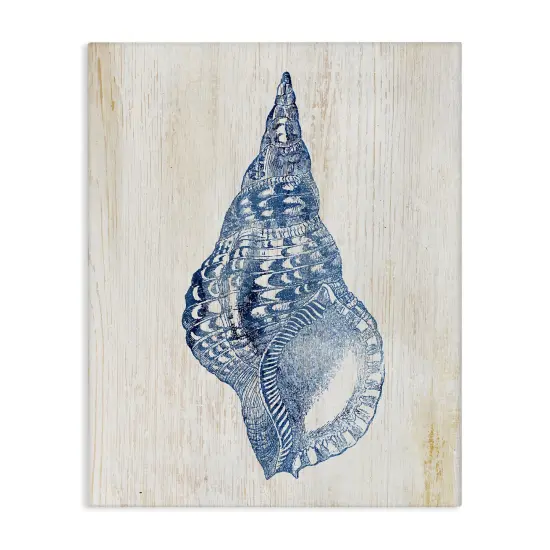 Stupell Industries Tranquil Blue Shell Canvas Design by Susan Arnot {1}