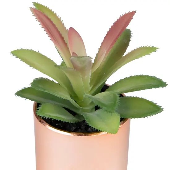 Northlight 5" Green Artificial Aloe Plant in a Rose Gold Pot {7}