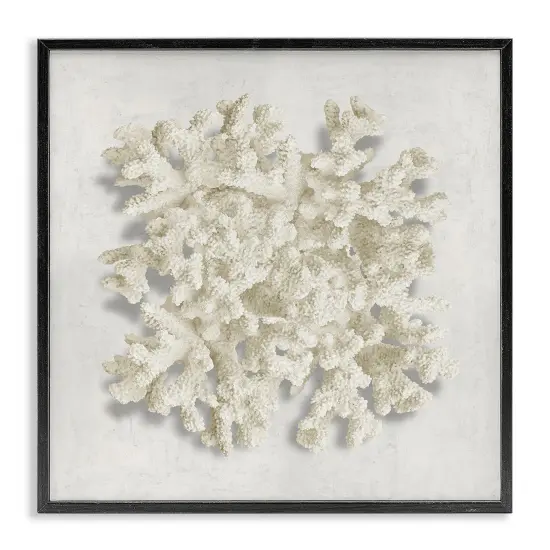 Stupell Industries Aquatic Neutral Coral Framed Giclee Design by Caroline Kelly {1}