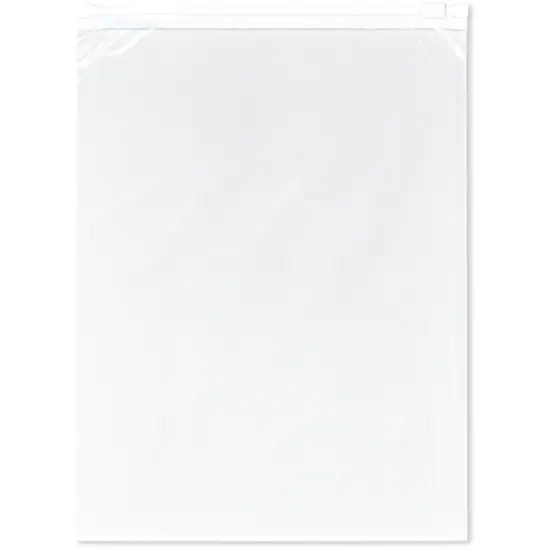 Plymor 2.7 Mil Slider Reclosable Plastic Bags (Case of 500) {1}