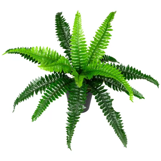 Northlight Potted Artificial Long Green Boston Fern Plant - 15.75" {3}