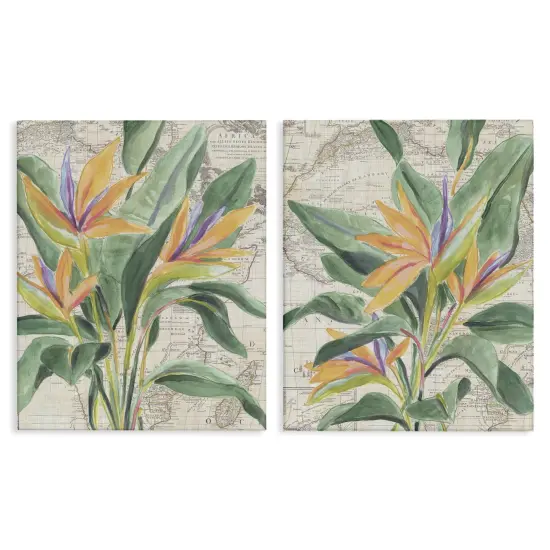 Stupell Industries Flowers over Vintage Map 2pc Canvas Set Design by June Erica Vess {1}