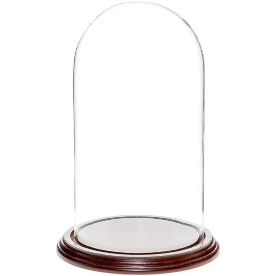 Plymor 5.5" x 10" Glass Display Dome Cloche Dark Mahogany Veneer {1}