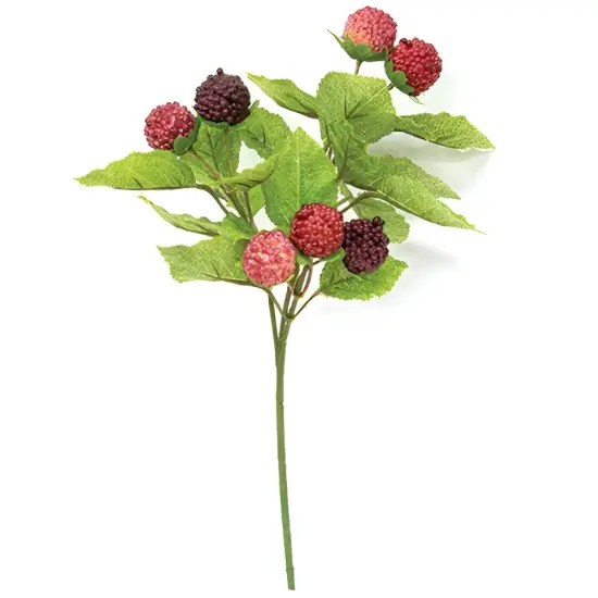 Fresh Raspberry Pick Stem for Wreaths and Floral Arrangements 10.5 Inches {1}