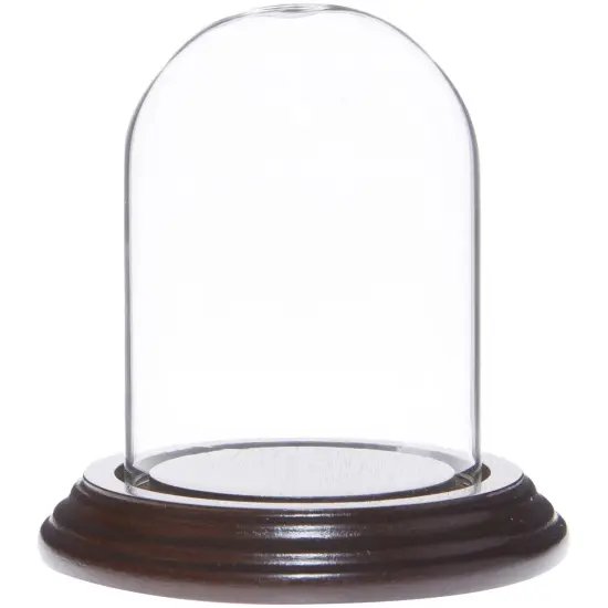 Plymor 2.5" x 3.5" Small Glass Display Dome Cloche Walnut Veneer {2}