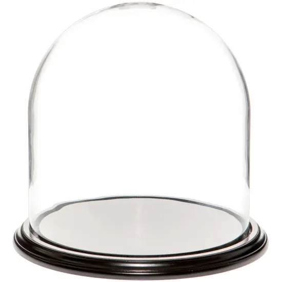Plymor 11.75" x 12" Glass Display Dome Cloche Black Wood Veneer {1}