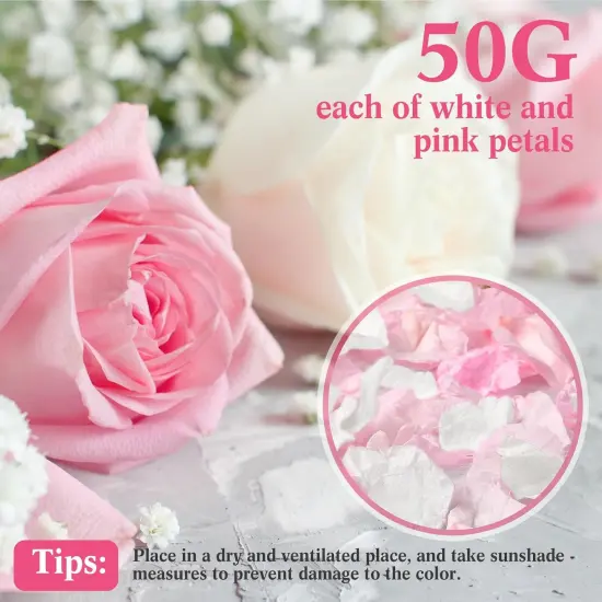 200 Pcs Real Dried Rose Petals for Wedding Flower to Throw {2}