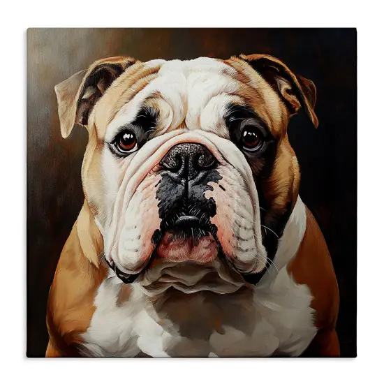 Stupell Industries Stoic Bulldog Portrait Canvas Design by Tom Crehan {1}