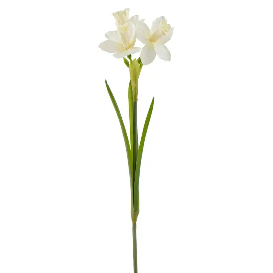 20.5" Natural Touch White Daffodils {1}