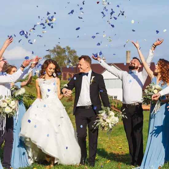 Silk Rose Petals 300pcs Navy Blue Flower Petals for Wedding Flower Girl Anniversary Table Centerpieces Party Favor Valentines Day Decoration {5}