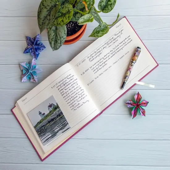 Gallery Leather Guest Book Special Events, add Photos, 192 Lined Pages, Bonded Leather, Hardcover, Gold-Gilded, Guestbook Acadia cactus {5}