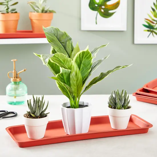 8 Pack Large Plastic Plant Drip Trays for Watering, Rectangular Planter Saucer Pans for Indoors, Outdoors, Garden Supplies (Terracotta Red, 16.5"L x 6.5"W) {2}