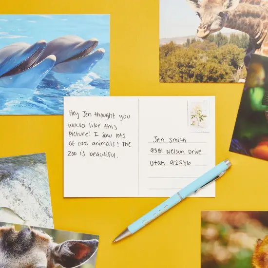 40 Pack Bulk Animal and Travel Postcards From Around the World for Mailing, Assorted Nature Thank You Notes (4 x 6 In) Multicolor {3}