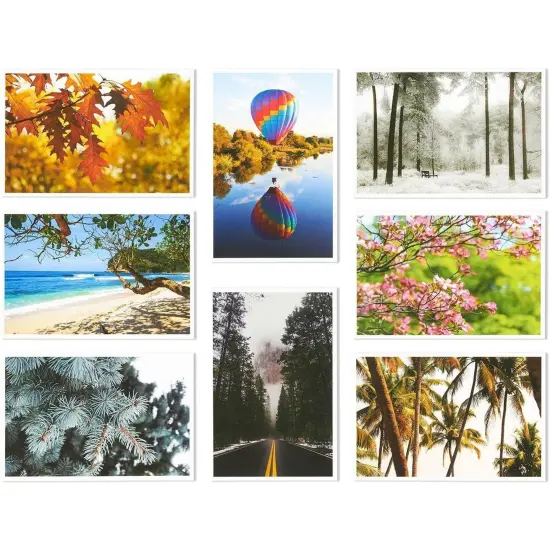 Best Paper Greetings 40 Pack Nature Postcards for Mailing, 4x6 Blank Scenic Postcards with 20 Assorted Landscape Photos, Pretty Post Cards for Travel, Crafting, Greeting Cards Multicolor {7}