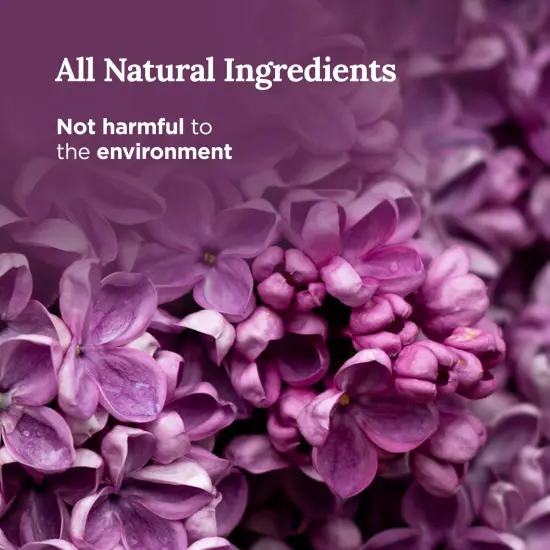 Magnificent 101 Long Lasting Love You Aromatherapy Tin Candle | 6 Oz - 35 Hour Burn | All Natural Soy Wax with Vanilla, Lavender, Rose, Jasmine, Lilac for Romance, Purification, Manifestation Multicolor {3}