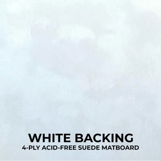 Classic White Wood Shadown Box Frame with Acrylic Front - White Suede Backing, 30 Sizes {5}