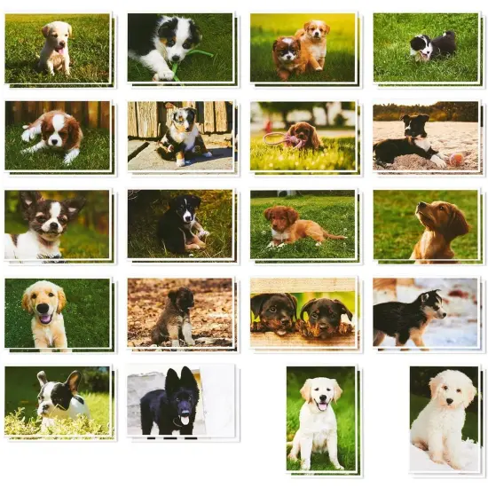 40 Pack Puppy Dog Postcards Bulk Set - All Occasion Assorted Blank Post Cards Greeting Bulk Box Set - 4 x 6 Inches {1}