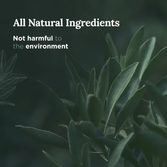 Magnificent 101 Pure Sage Energy Cleansing Aromatherapy Glass Candle for Meditation, Manifestation, and Intention-Setting - 14.5 oz Natural Soy Wax and Essential Oil | 56-Hour Burn Time Green {3}