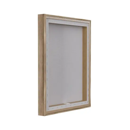 Stupell Industries Rider's Shadow Horse Floating Frame By Grace Popp {4}