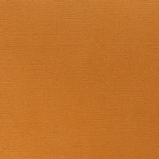 APRICOT JAM - Textured 12x12 Cardstock - Encore Paper {1}