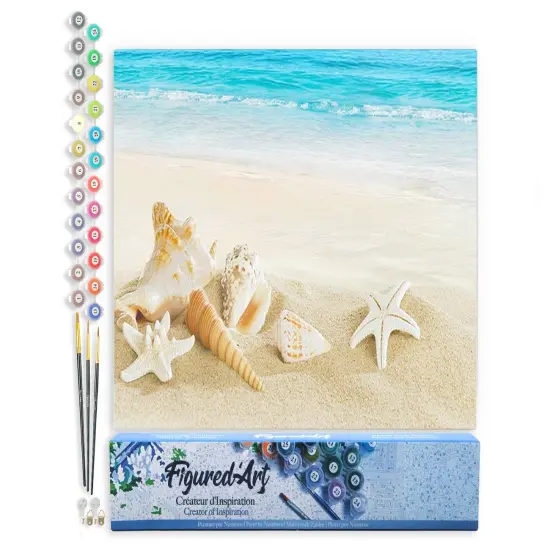 Figured'Art Paint by Numbers Kit for Adults Shells on the Seaside 16"x20" - Craft Art Painting DIY Kit Rolled Canvas without frame {1}
