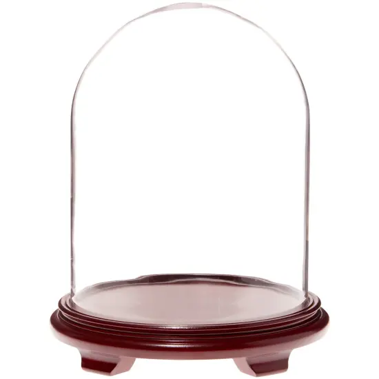 Plymor 11.75" x 15" Glass Display Dome Cloche Red Wood Veneer {1}