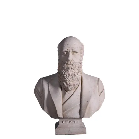 Darwin Stone Bust Life Size Statue {1}