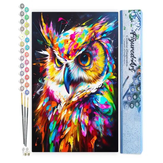 Figured'Art Paint by Numbers for Adults Colorful Abstract Owl 16"x20" - Craft Art Painting DIY Kit Rolled Canvas Without Frame {1}