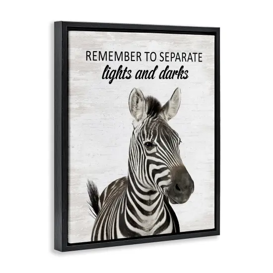 Stupell Industries Remember To Separate Laundry Floating Frame Design by Lettered and Lined {3}