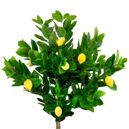 Northlight Artificial Lemon Potted Tree - 4.75' - Yellow {4}