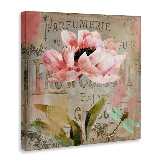 Stupell Industries French Vintage Blossom Canvas Design by Sasha {3}