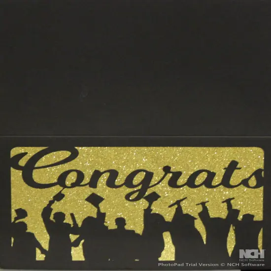 Designer Black/Gold Congrats Die-cut Glitter Greeting Card With Envelope {1}