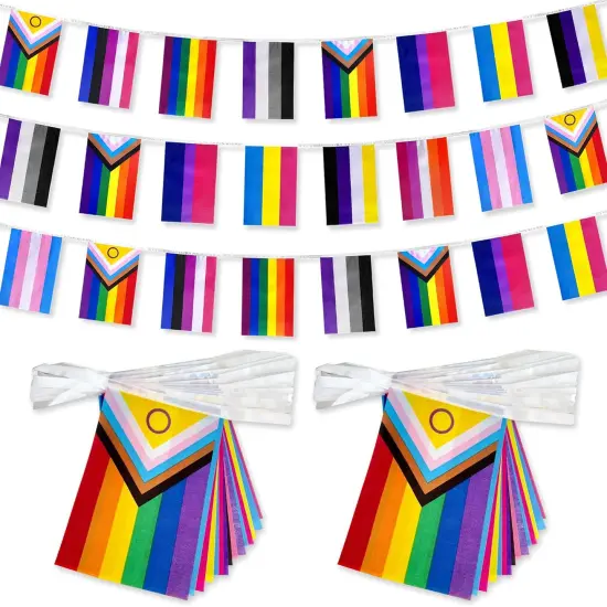 2 Packs New Intersex Progress Rainbow Gay All Pride Flags Banner String Set Small Mini LGBTQ Inclusive Bunting Flags Decoration,60 Feet 40 Flags {1}