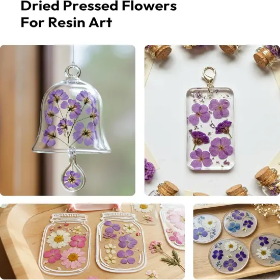 58Pcs Pressed Flowers for Craft Purple Real Natural Dried Flowers {4}
